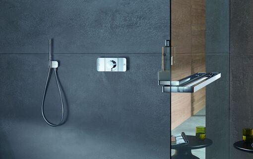 Baderneuerung Hansgrohe 33