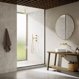 5704479 Silhouet XS2 Concealed Kit Outer Parts And 7461679 Silhouet Basin ConcealedMiljo Brushed Brass